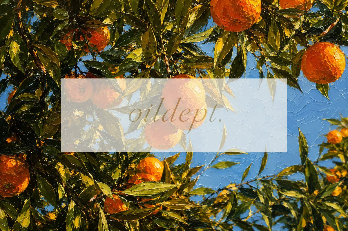 Mediterranean Collection