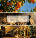 All Wallpaper Collection